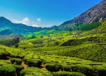 Munnar (1).jpg